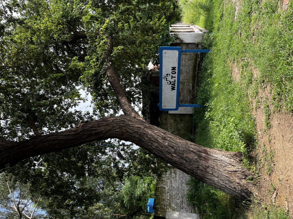 Exterior view of Walton Railway Station surrounded by greenery